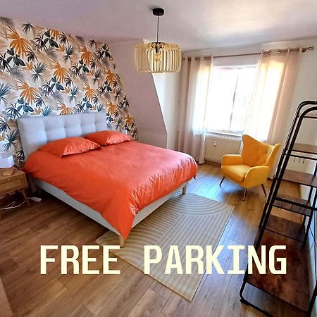 Confortable Spacieux Grand Rue - Garage Saverne Dış mekan fotoğraf