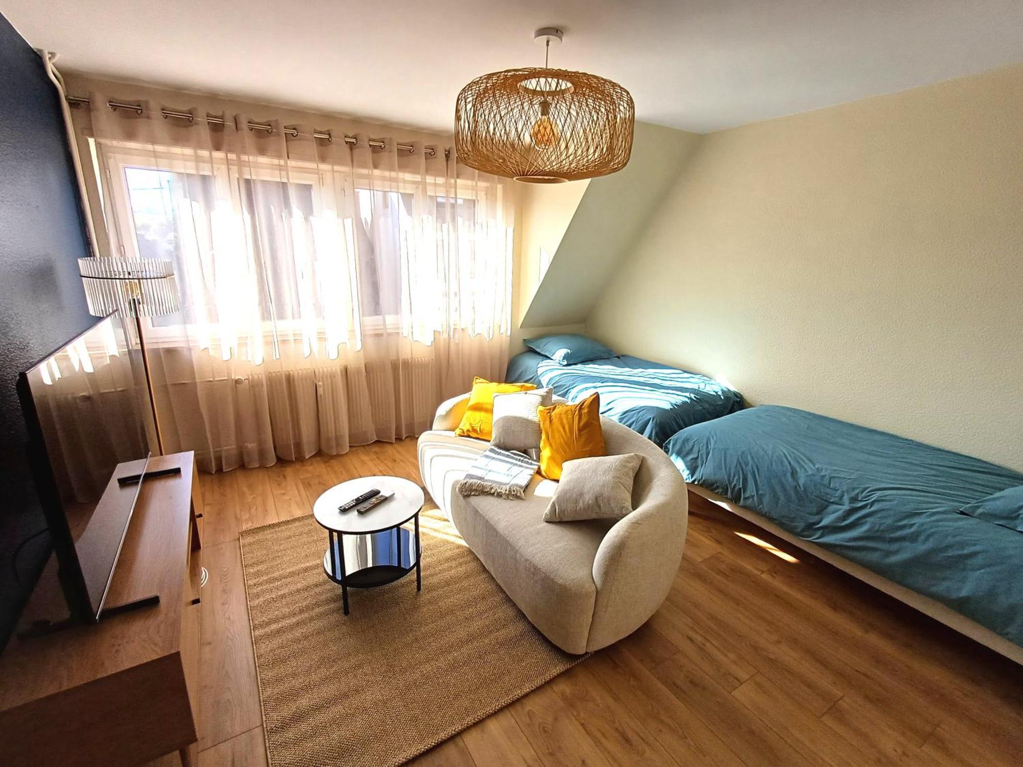 Confortable Spacieux Grand Rue - Garage Saverne Dış mekan fotoğraf